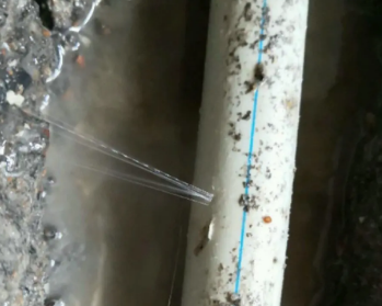 万年卫生间测漏水多少钱